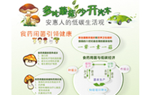 專(zhuān)題報(bào)道