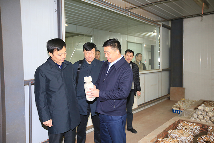 專(zhuān)題報(bào)道