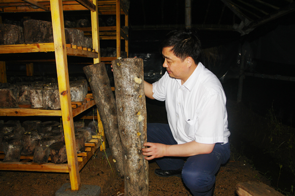 圖片關(guān)鍵詞 圖片關(guān)鍵詞