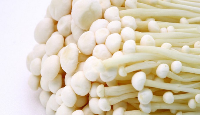 圖片關(guān)鍵詞 圖片關(guān)鍵詞