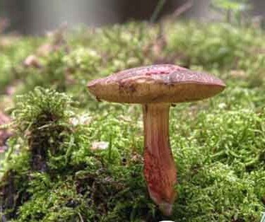 圖片關(guān)鍵詞 圖片關(guān)鍵詞