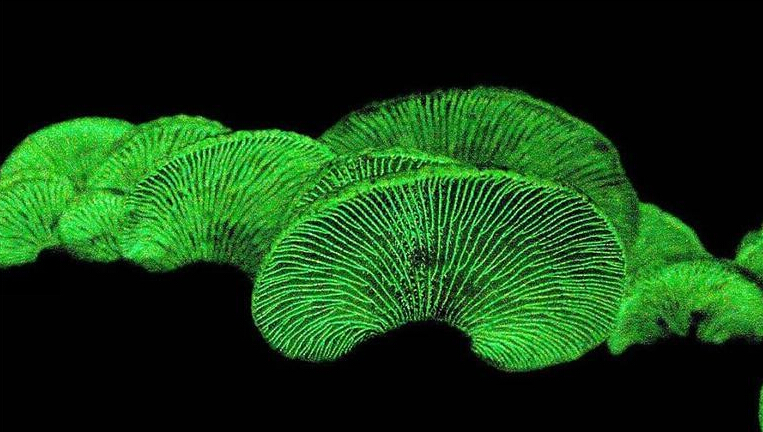 圖片關鍵詞 圖片關鍵詞