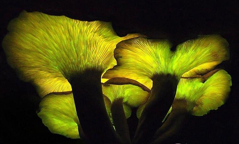 圖片關鍵詞 圖片關鍵詞