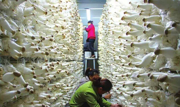 圖片關(guān)鍵詞 圖片關(guān)鍵詞