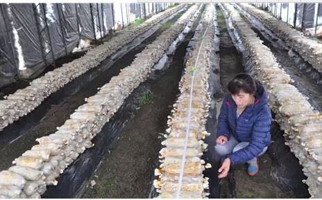 圖片關(guān)鍵詞 圖片關(guān)鍵詞