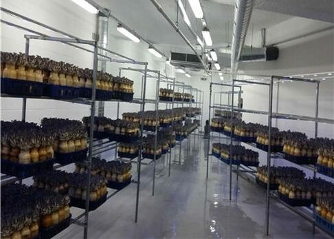 圖片關(guān)鍵詞 圖片關(guān)鍵詞