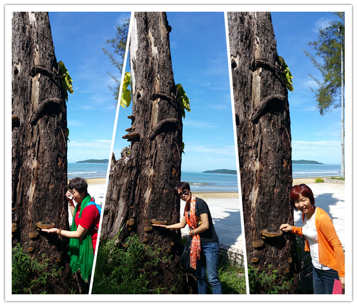 圖片關(guān)鍵詞 圖片關(guān)鍵詞