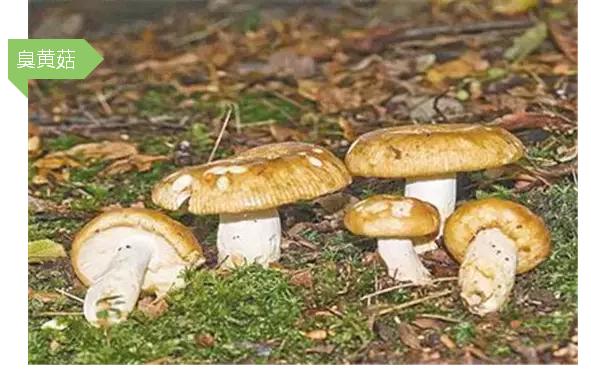 圖片關(guān)鍵詞 圖片關(guān)鍵詞