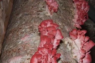 圖片關(guān)鍵詞 圖片關(guān)鍵詞