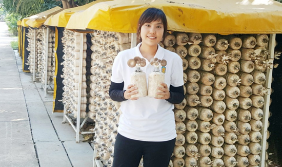 圖片關(guān)鍵詞 圖片關(guān)鍵詞