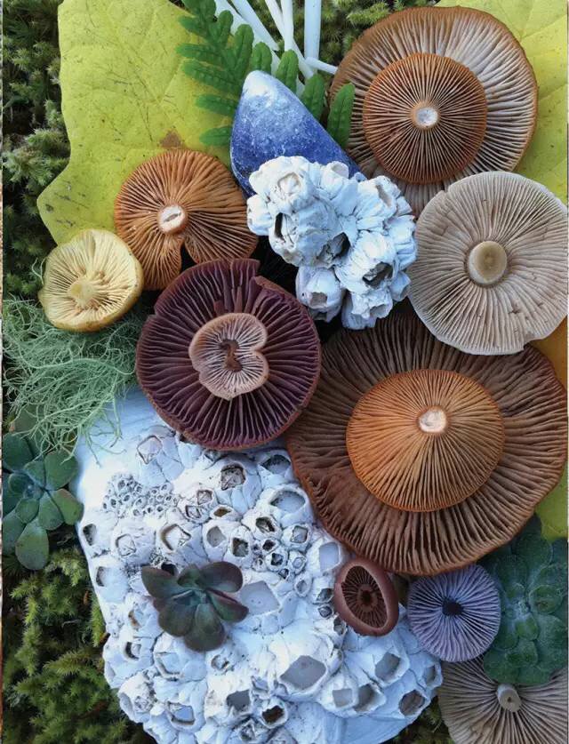 圖片關(guān)鍵詞 圖片關(guān)鍵詞