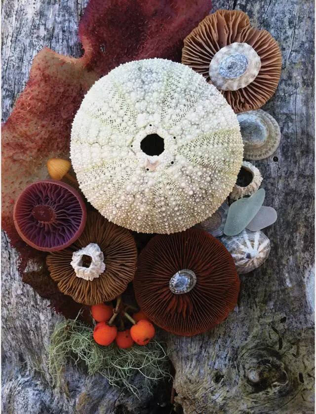 圖片關(guān)鍵詞 圖片關(guān)鍵詞