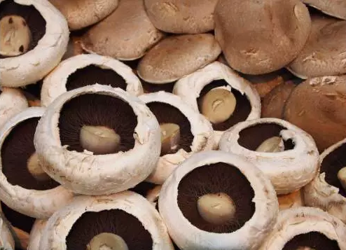 圖片關(guān)鍵詞 http://www.aaa153.com/ewebeditor/uploadfile/20170914091257506001.png