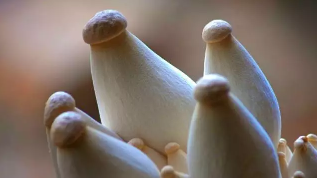 圖片關(guān)鍵詞 http://www.aaa153.com/ewebeditor/uploadfile/20170914091357269001.png