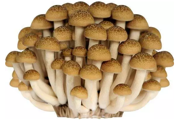 圖片關(guān)鍵詞 http://www.aaa153.com/ewebeditor/uploadfile/20170914091421667001.png