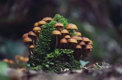 圖片關(guān)鍵詞 圖片關(guān)鍵詞