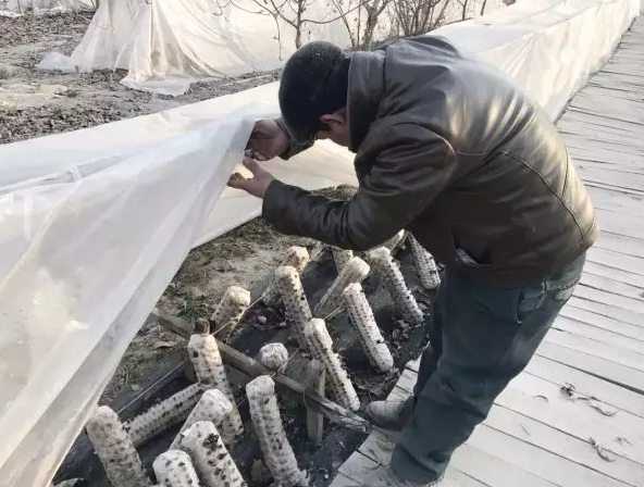 圖片關(guān)鍵詞 圖片關(guān)鍵詞