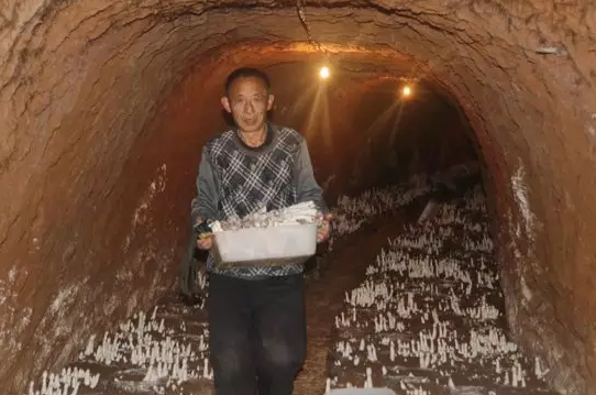 圖片關(guān)鍵詞 圖片關(guān)鍵詞