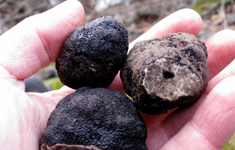 圖片關(guān)鍵詞 圖片關(guān)鍵詞