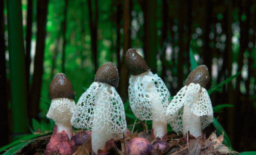 圖片關(guān)鍵詞 http://www.aaa153.com/ewebeditor/uploadfile/20180828110329835001.png