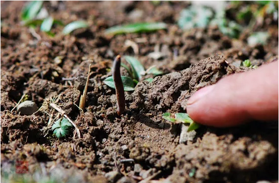 圖片關(guān)鍵詞 http://www.aaa153.com/ewebeditor/uploadfile/20180921101313325001.png