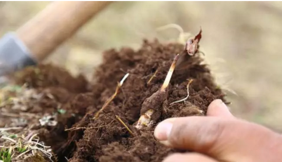 圖片關(guān)鍵詞 http://www.aaa153.com/ewebeditor/uploadfile/20180921101228689001.png