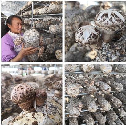 圖片關(guān)鍵詞 圖片關(guān)鍵詞