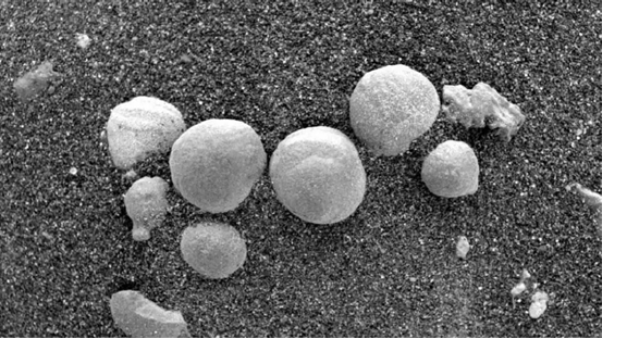 圖片關(guān)鍵詞 圖片關(guān)鍵詞