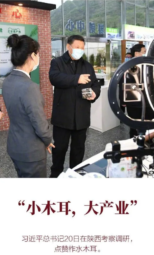 圖片關(guān)鍵詞 http://www.mushroommarket.net/file/upload/202004/21/16-48-38-10-283825.png