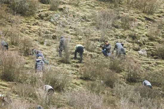 圖片關(guān)鍵詞 https://mmbiz.qpic.cn/mmbiz_jpg/OnRbAd1HL46UNKFibMcWGQpUNc4vQicRXnquA1kKkpIx1j8X67oEFuNibMn2jTgkVGiax0zT9v24xxzreZ0kiaWMJxQ/640?wx_fmt=jpeg