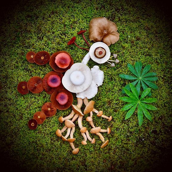 圖片關鍵詞 http://img1.jiemian.com/jiemian/original/20171123/151141500756480400_a580xH.jpg