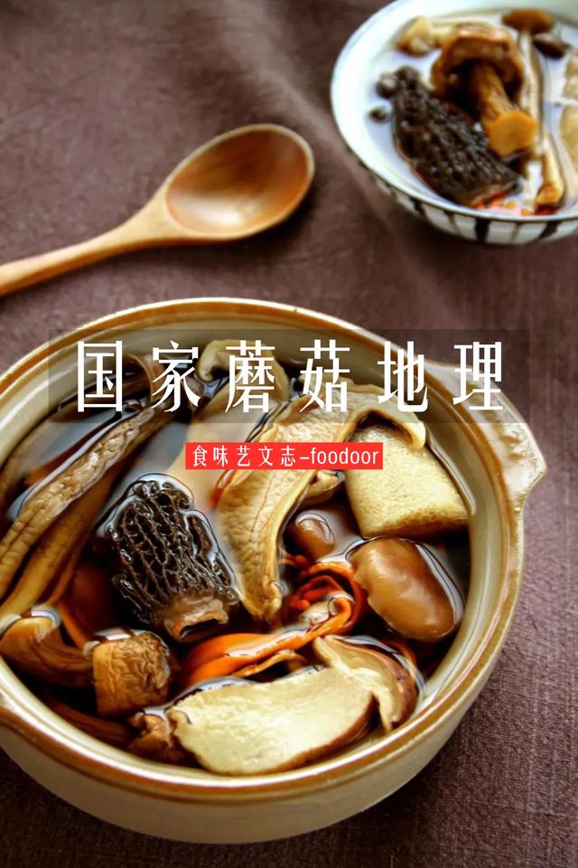 國(guó)家蘑菇地理：中國(guó)哪里的蘑菇最好吃？