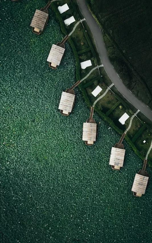 國(guó)家蘑菇地理：中國(guó)哪里的蘑菇最好吃？