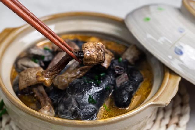 國(guó)家蘑菇地理：中國(guó)哪里的蘑菇最好吃？