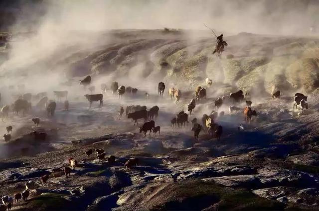 國(guó)家蘑菇地理：中國(guó)哪里的蘑菇最好吃？