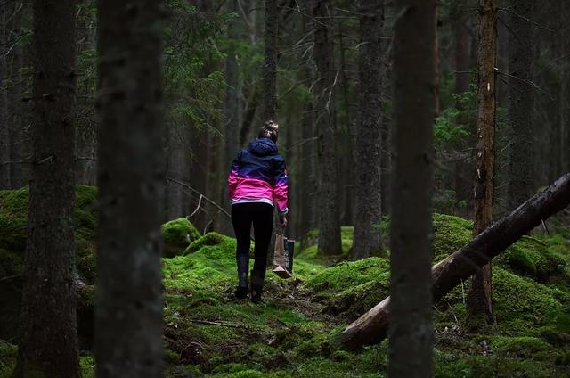 國(guó)家蘑菇地理：中國(guó)哪里的蘑菇最好吃？