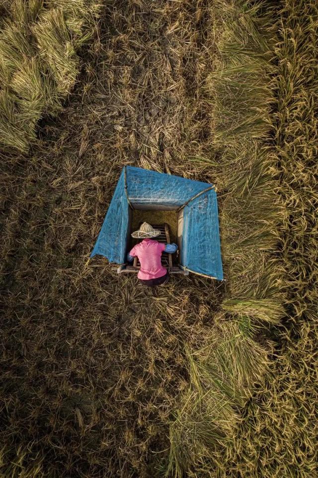 國(guó)家蘑菇地理：中國(guó)哪里的蘑菇最好吃？