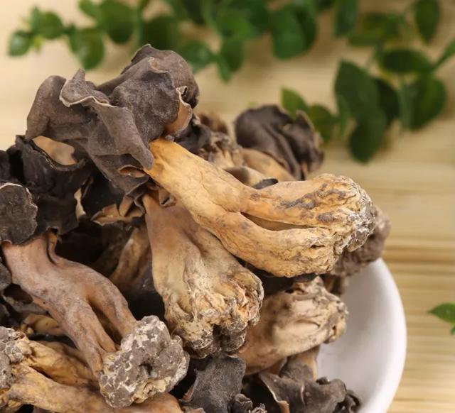 國(guó)家蘑菇地理：中國(guó)哪里的蘑菇最好吃？