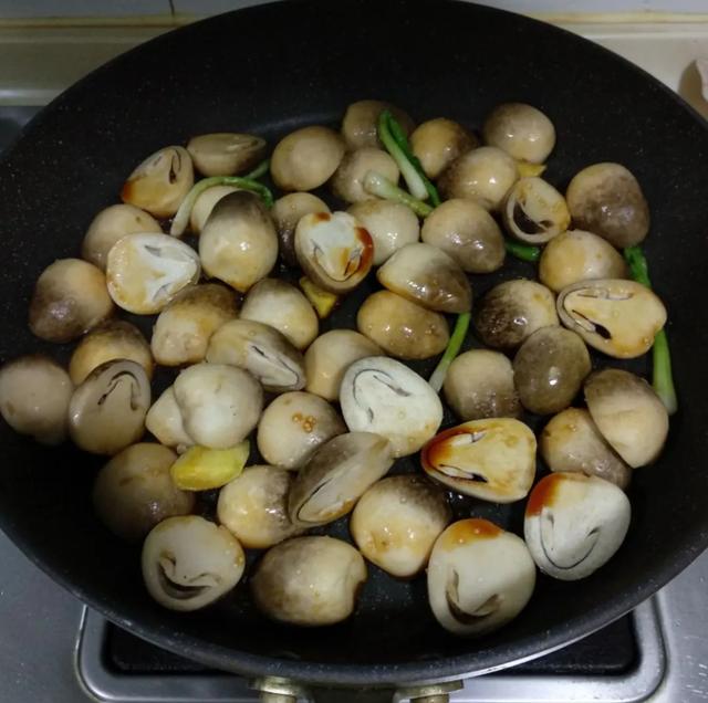 國(guó)家蘑菇地理：中國(guó)哪里的蘑菇最好吃？