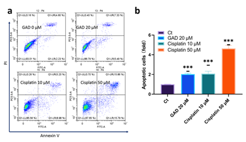 圖片關(guān)鍵詞 https://mmbiz.qpic.cn/mmbiz_png/tViaTicjwibVZnnuxTI0eMzfuPJd8DTSZHDn5tyKuwnMGxiaXr2RJD8kT2nVicJhbOFcLfMofubGRnZwdewf5LPAUhA/640?wx_fmt=png