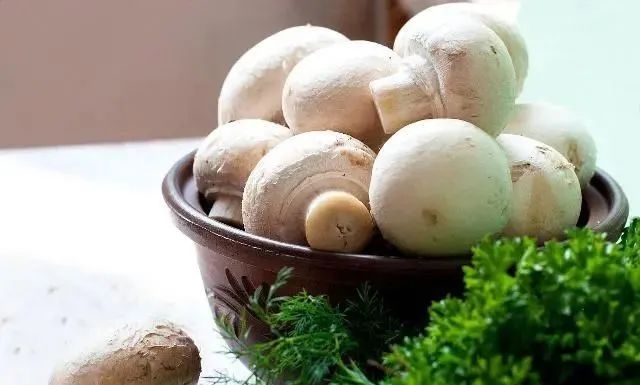 圖片關(guān)鍵詞 https://mmbiz.qpic.cn/mmbiz_jpg/EzTg6Bqtpm2iaWlVaT8kP4ytdpE4icsH2eTcT2LvxU8nLje6fpsHrVNcN5e89Vzay52alibsV9tRLcC1nx1L6lUsA/640?wx_fmt=jpeg