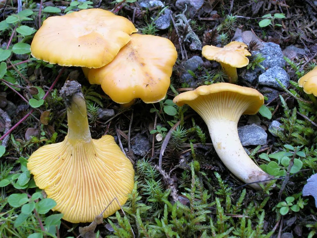 圖片關(guān)鍵詞 圖片