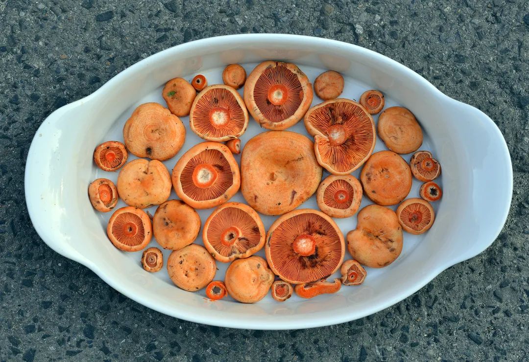 圖片關(guān)鍵詞 圖片