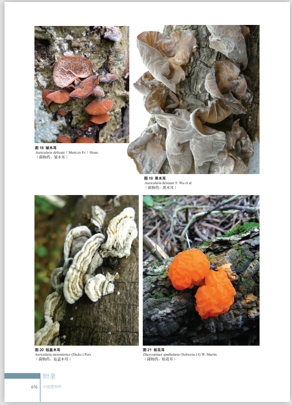 圖片關鍵詞 圖片