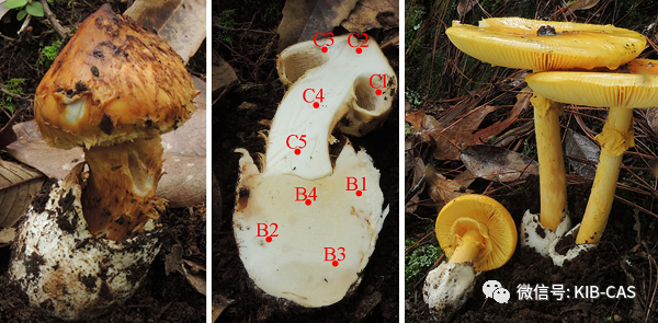 圖片關(guān)鍵詞 圖片