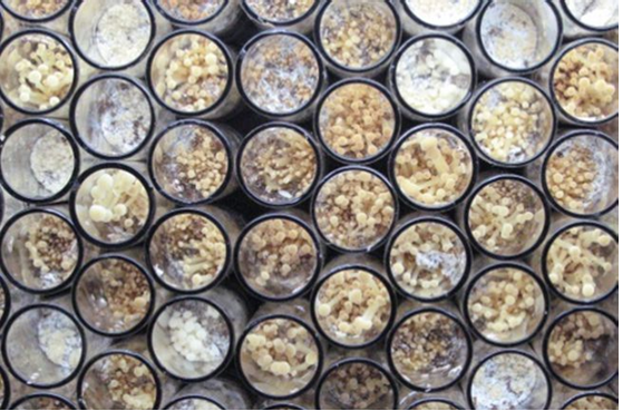 圖片關鍵詞 圖片關鍵詞