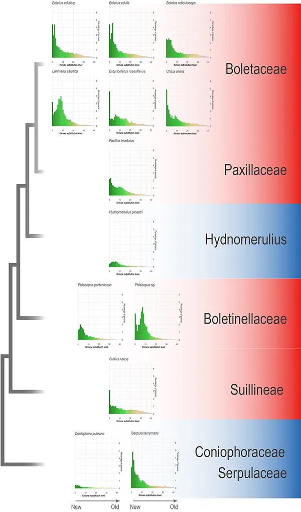 圖片關(guān)鍵詞 圖片