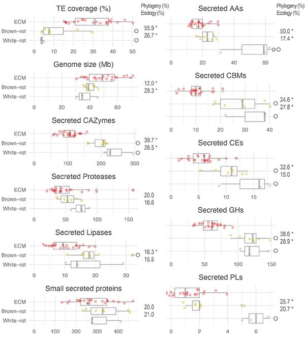 圖片關(guān)鍵詞 圖片