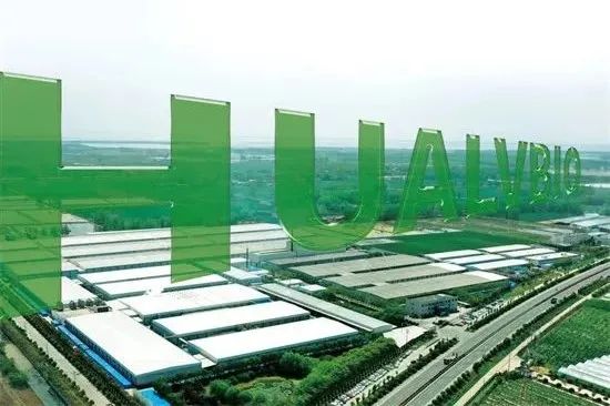 圖片關(guān)鍵詞 https://mmbiz.qpic.cn/mmbiz_jpg/OnRbAd1HL46GhRLHMgb4ickjFCUB1eamlEWAvVwz4sy2qYibEu80DicYhRLlibL62sWcyexbH1ibicRFPu6ITU5eKQcA/640?wx_fmt=jpeg