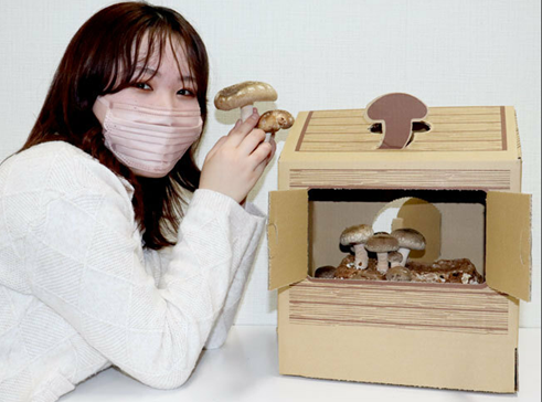 圖片關(guān)鍵詞 圖片關(guān)鍵詞